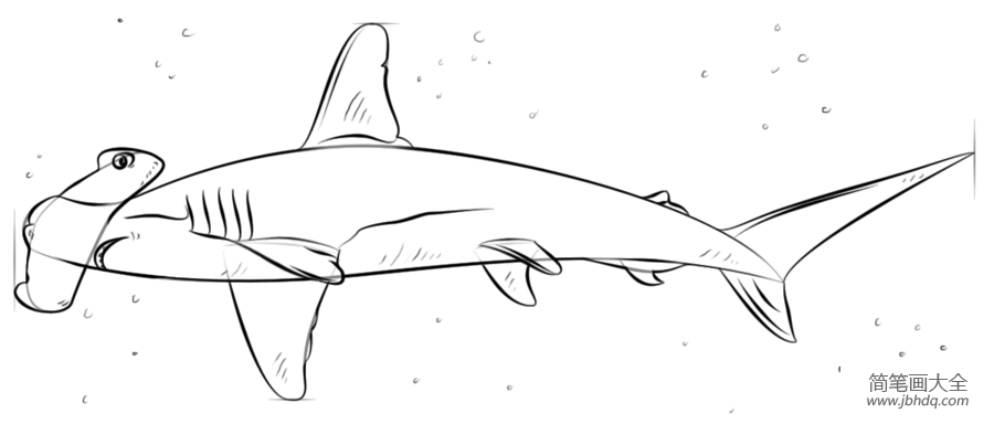绘画锤头鲨