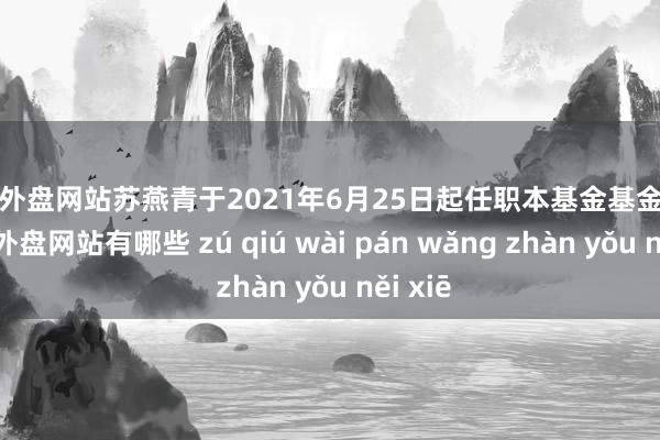 足球外盘网站苏燕青于2021年6月25日起任职本基金基金司理-足球外盘网站有哪些 zú qiú wài pán wǎng zhàn yǒu něi xiē