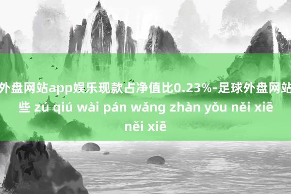 足球外盘网站app娱乐现款占净值比0.23%-足球外盘网站有哪些 zú qiú wài pán wǎng zhàn yǒu něi xiē