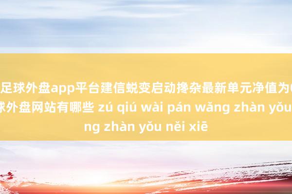 现金足球外盘app平台建信蜕变启动搀杂最新单元净值为0.693元-足球外盘网站有哪些 zú qiú wài pán wǎng zhàn yǒu něi xiē