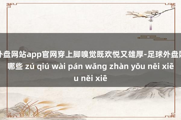 足球外盘网站app官网穿上脚嗅觉既欢悦又雄厚-足球外盘网站有哪些 zú qiú wài pán wǎng zhàn yǒu něi xiē